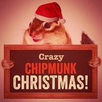 Crazy Chipmunk Christmas!