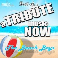 A Tribute Music Now: Best Of... The Beach Boys