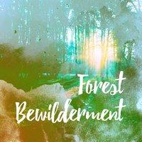 Forest Bewilderment