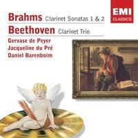 Brahms: Clarinet Sonatas . Beethoven: Clarinet Trio