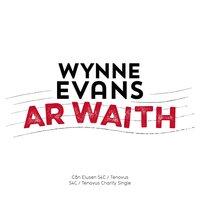 Wynne Evans