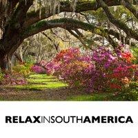 Relax in South America