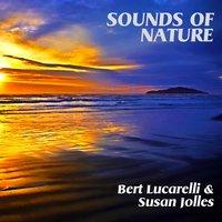 Sounds of Nature