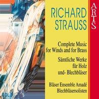 Strauss: Sämtliche Werke für Holz- und Blechbläser, Vol. 2
