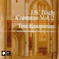 J.S. Bach: Cantatas Vol. 2