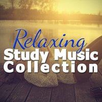 Relaxing Study Music Collection