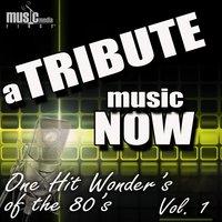 A Tribute Music Now: One Hit Wonder's of the 80's, Vol. 1