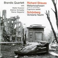 Schöenberg & Strauss: Music for Strings