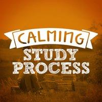Calming Study Process