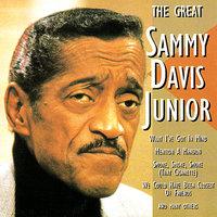 The Great Sammy Davis Junior
