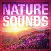 Nature Sounds, Vol. 1
