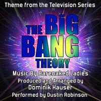 The Big Bang Theory - Theme from the TV Series (Barenaked Ladies)