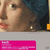 Bach: Cantatas 180, 49, 115
