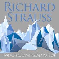 Eine Alpensinfonie (An Alpine Symphony), Op. 64: VII. Nebel steigen auf - Die Sonne verdustert sich allmahlich