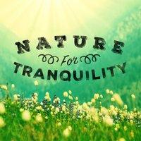 Nature for Tranquility