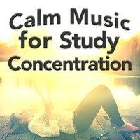Calm Music for Study Concentration