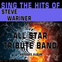 Sing the Hits of Steve Wariner