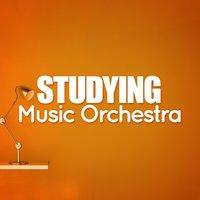 Studying Music Orchestra
