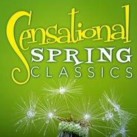 Sensational Spring Classics