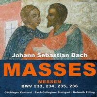 Johann Sebastian Bach: Masses BWV 233, 234, 235 & 236