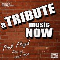 A Tribute Music Now: Best of... Pink Floyd