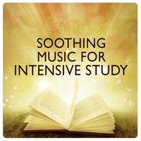 Soothing Music for Intensive Study