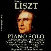 Liszt, Vol. 6 : Piano Solo
