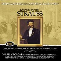 Orquesta de Viena Johann Strauss
