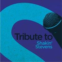 Tribute to Shakin' Stevens