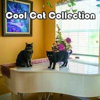 Cool Cat Collection
