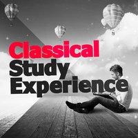 Classical Study Experience