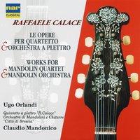 Raffaele Calace: Le Opere per quartetto e orchestra a plettro