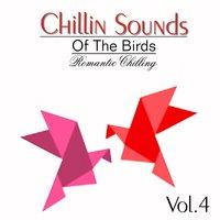 Chillin Sound of Birds, Vol. 4