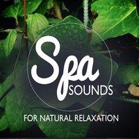 Spa Sounds for Natural Relaxation
