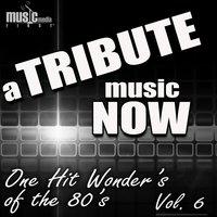 A Tribute Music Now: One Hit Wonder's of the 80's, Vol. 6