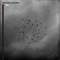 Harrison Brome