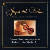 Los Grandes Maestros de la Música Clásica: Joyas del Violín