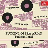 Puccini:  Opera Arias