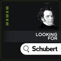 Looking for Schubert