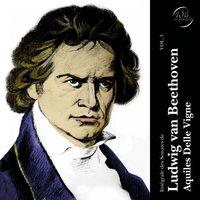 Ludwig van Beethoven: Intégrale des sonates, Vol. 3