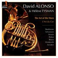 The Art of the Horn: David Alonso