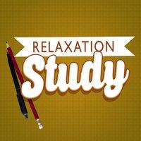 Relaxation Study