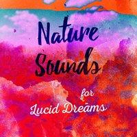 Nature Sounds for Lucid Dreams