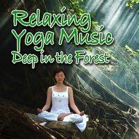 Relaxing Yoga Music Deep in the Forest (Nature Sounds and Music)