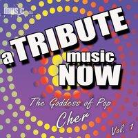 A Tribute Music Now: The Goddess of Pop - Cher, Vol. 1