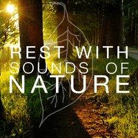 Rest with Sounds of Nature