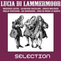 Lucia di lammermoor - selection
