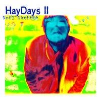 HayDays, Vol. 2
