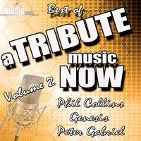 A Tribute Music Now: Best Of... Phil Collins, Genesis and Peter Gabriel, Vol. 2