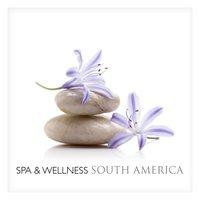 Spa & Wellness in South America
